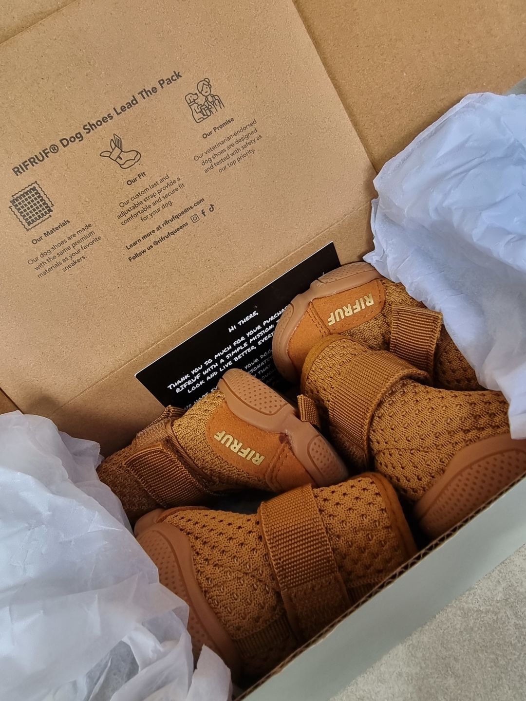 Customer photo review of Caesar 1S