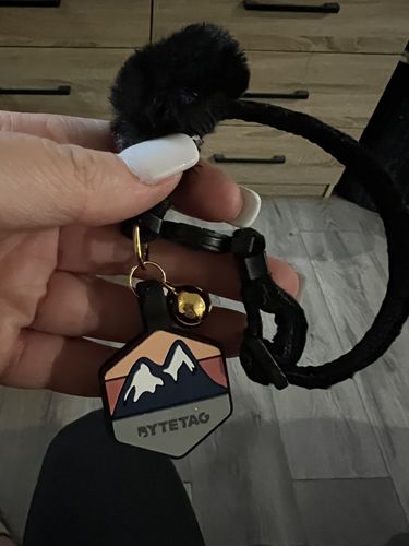 Customer photo review of Explorer Silicone