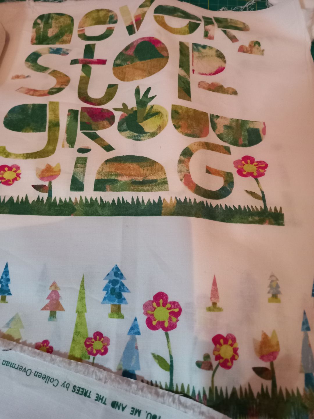 Customer photo review of 62cm Panel Positive Quotes Cotton Fabric