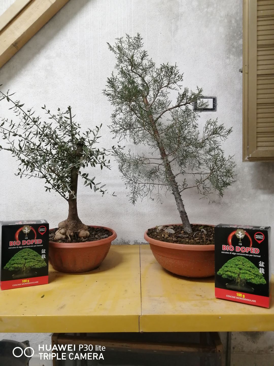 Customer photo review of BIO DOPED X2 PACK