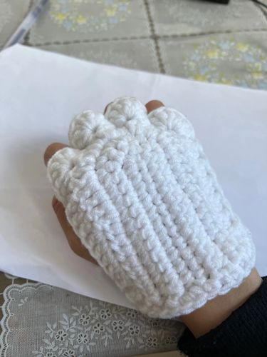 Customer photo review of Faisly™ - Paw Mitts