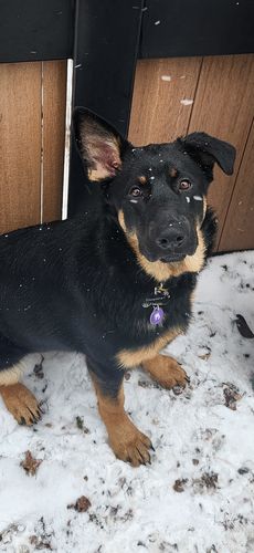 Customer photo review of Purple