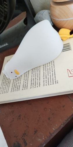 Customer photo review of Lazy Duck Night Night