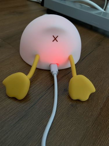 Customer photo review of Lazy Duck Night Night