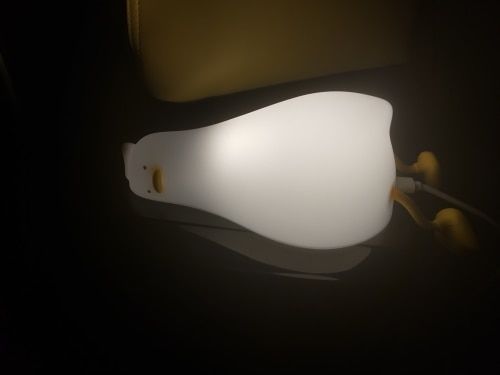 Customer photo review of Lazy Duck Night Night