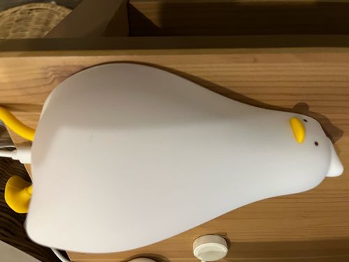 Customer photo review of Lazy Duck Night Night