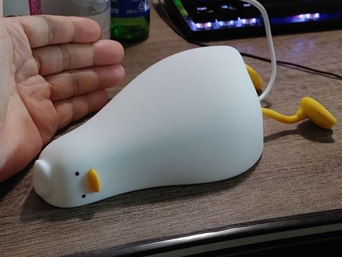 Customer photo review of Lazy Duck Night Night