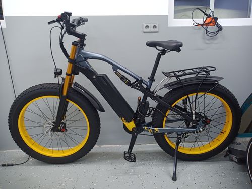 Customer photo review of Lankeleisi RV700 1000W 26" Fat Bike Dual Crown Fork E-Mountain Bike 16Ah 130km 30km/h