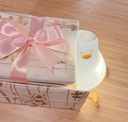 Customer photo review of Lazy Duck Night Night