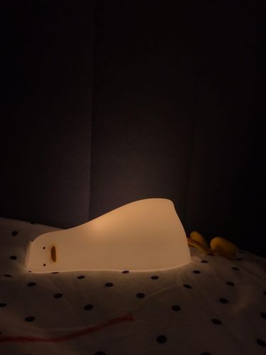Customer photo review of Lazy Duck Night Night