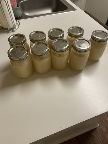 Customer photo review of Raw St Lucia Gold Sea Moss