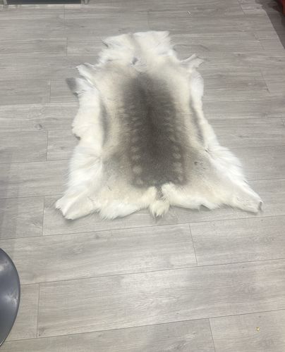 Customer photo review of Reindeer Fur Hide
