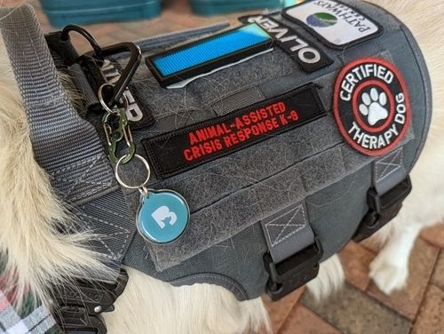 Customer photo review of Teal