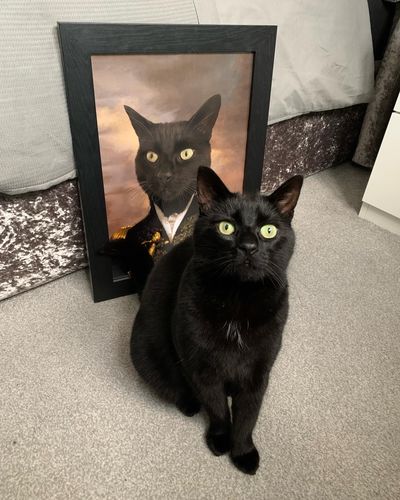 Customer photo review of The General: Custom Pet Portrait