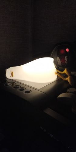 Customer photo review of Lazy Duck Night Night