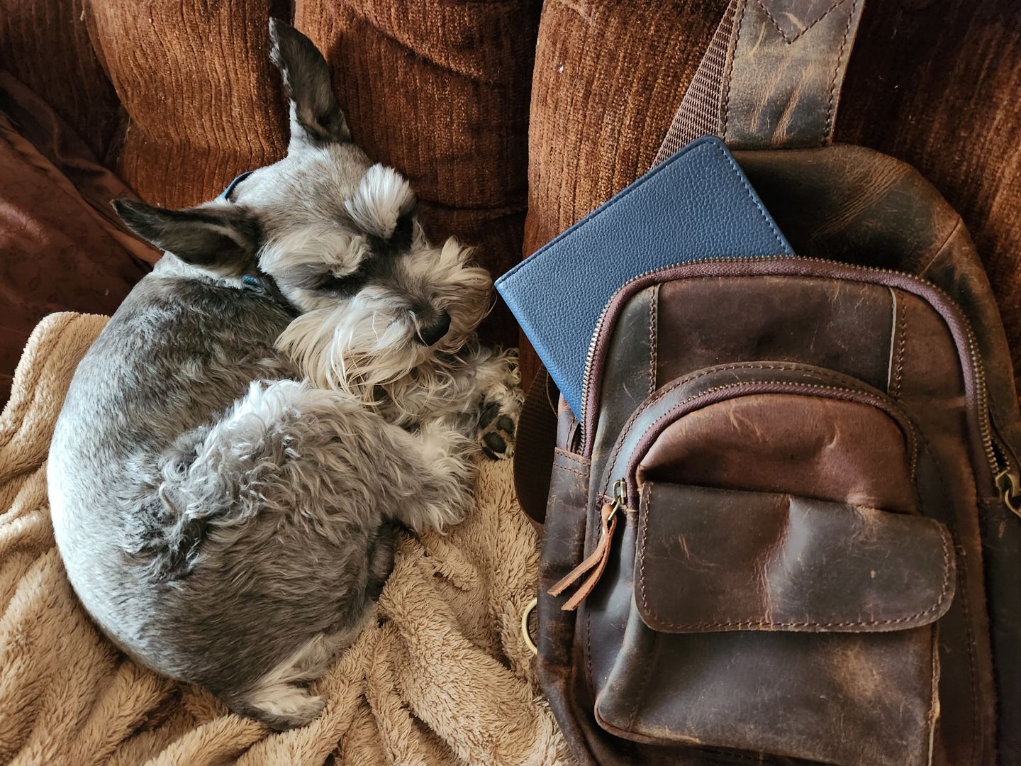 Customer photo review of Cowhide Leather Sling Bag
