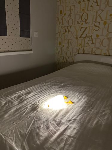Customer photo review of Lazy Duck Night Night