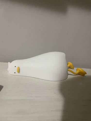 Customer photo review of Lazy Duck Night Night