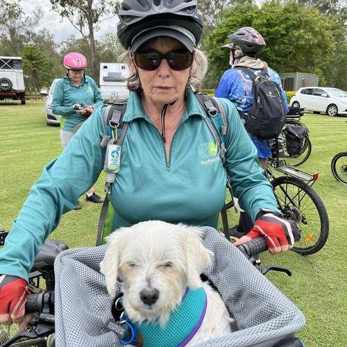 Customer photo review of All In One Pet Carrier Bag | Dog Bike Basket | Backpack for Dogs & Cats | Car Booster Seat