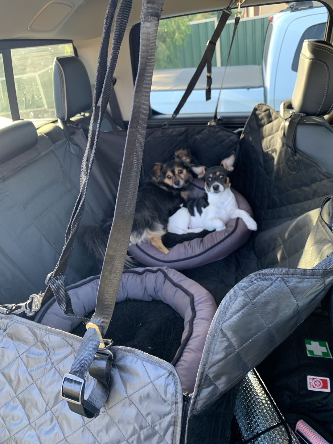 Customer photo review of Waterproof Pet Car Seat Cover With Mesh Window + Free Buckle Leash