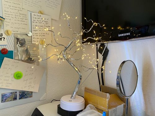 Customer photo review of Magical Tree Night Light