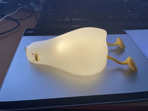 Customer photo review of Lazy Duck Night Night
