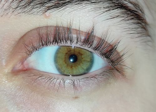 Customer photo review of Wimpernzange