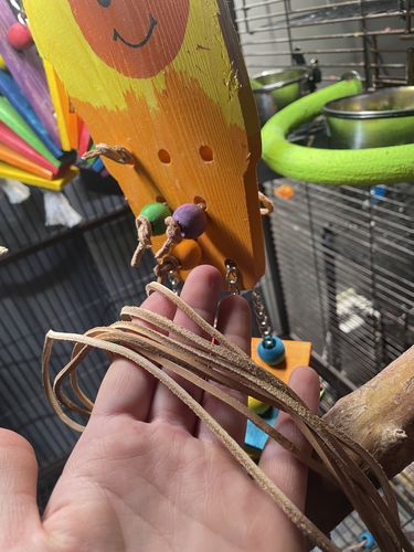 Customer photo review of 2121 Pk3 Leather strips