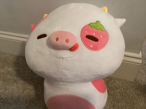 Customer photo review of Mewaii® Mushroom Family Strawberry Cow Kawaii Plush Pillow Squish Toy