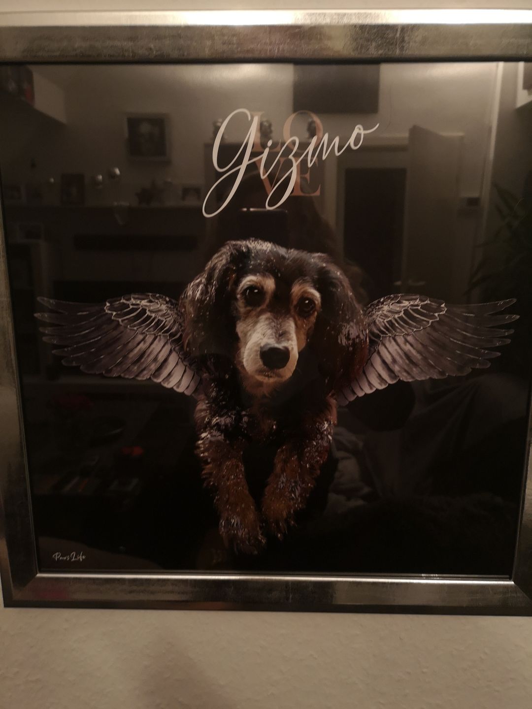 Customer photo review of Personalisiertes Portrait - Silberner Engel Stil