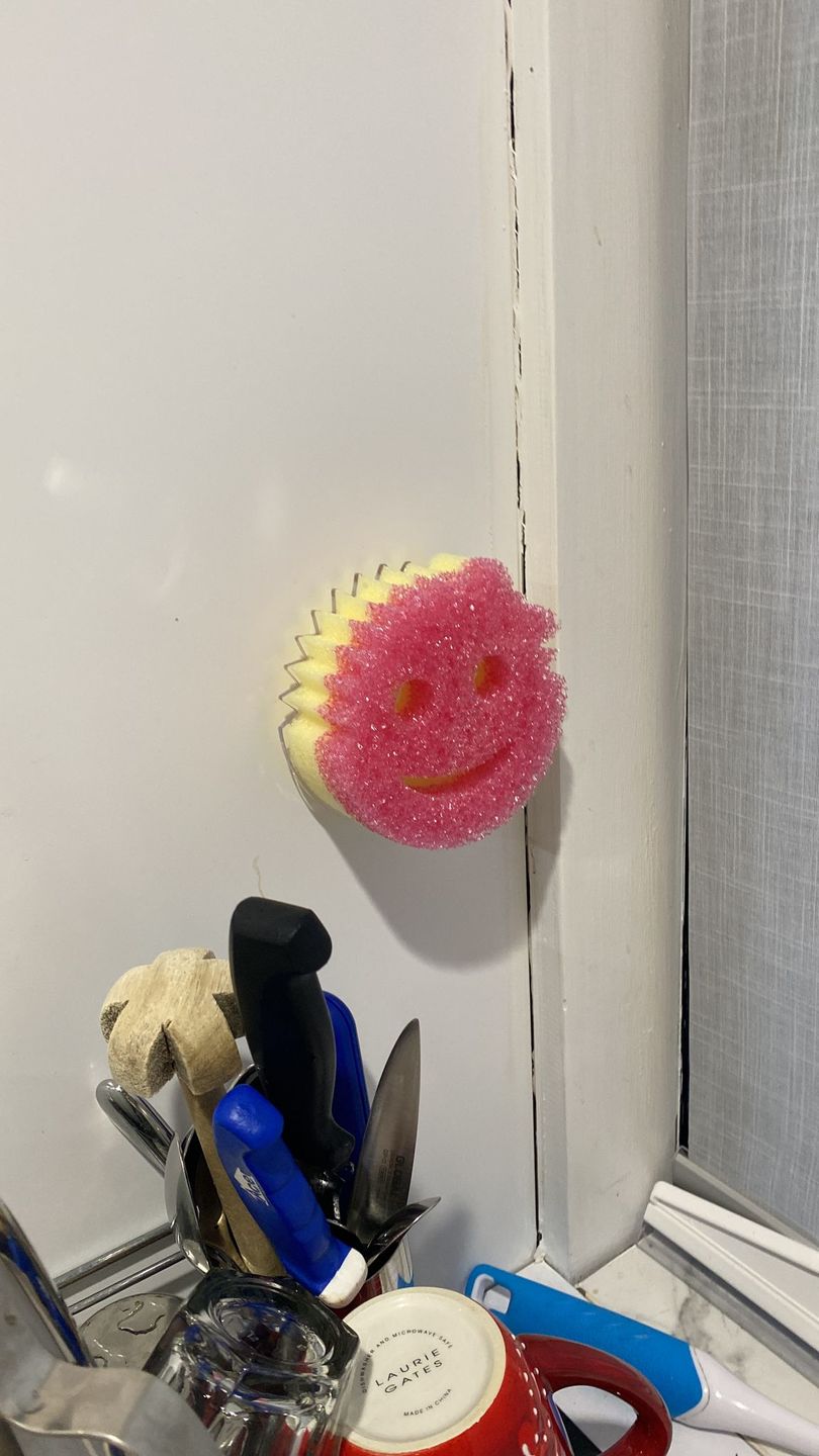 Customer photo review of Scrub Daddy Family (6 Pack)