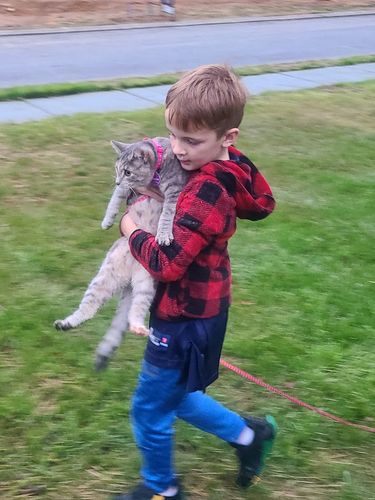 Customer photo review of Woof Pack