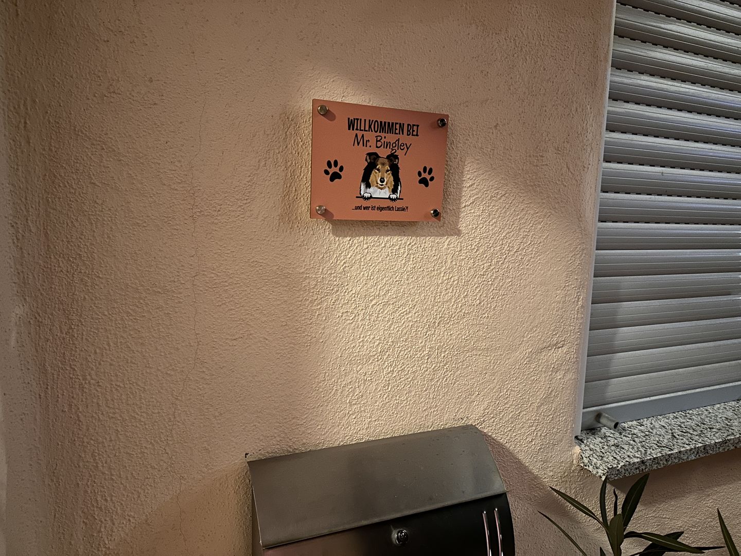 Customer photo review of Spähende Haustiere - Individuelles Türschild
