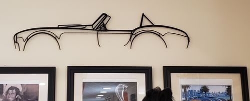 Customer photo review of Cobra 427 Silhouette Metal Wall Art