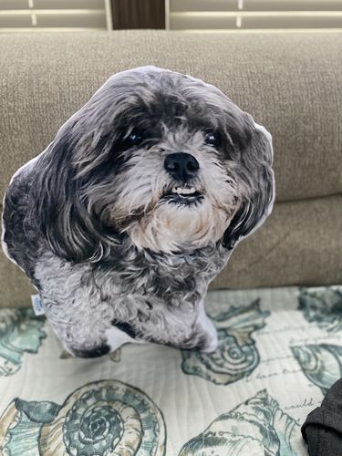 Customer photo review of Create A Custom Dog Pillow