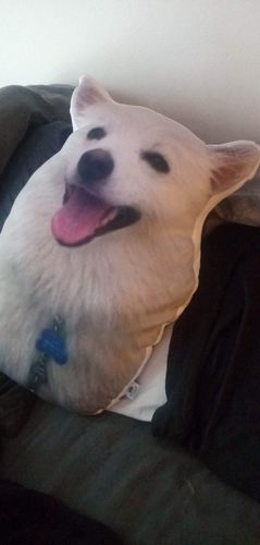 Customer photo review of Create A Custom Dog Pillow