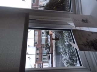 Customer photo review of Oak Light Pull