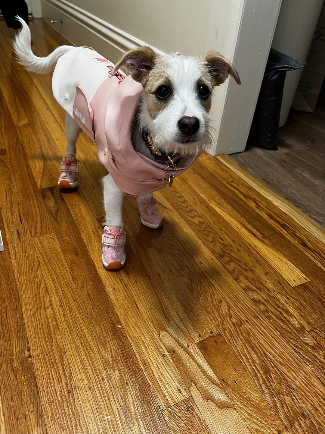 Customer photo review of Stormhunter Raincoat