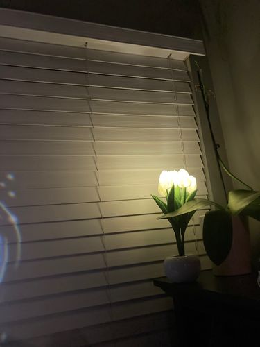 Customer photo review of Spring Tulip Night Light