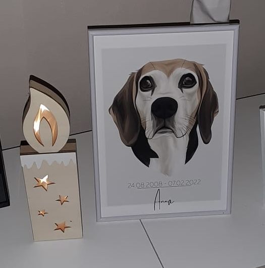 Customer photo review of Portrait deines Tieres