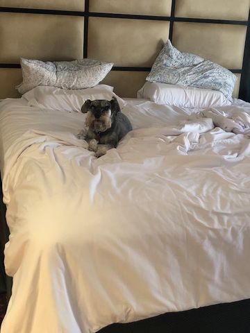 Customer photo review of Scandinavian White Duvet Cover Set