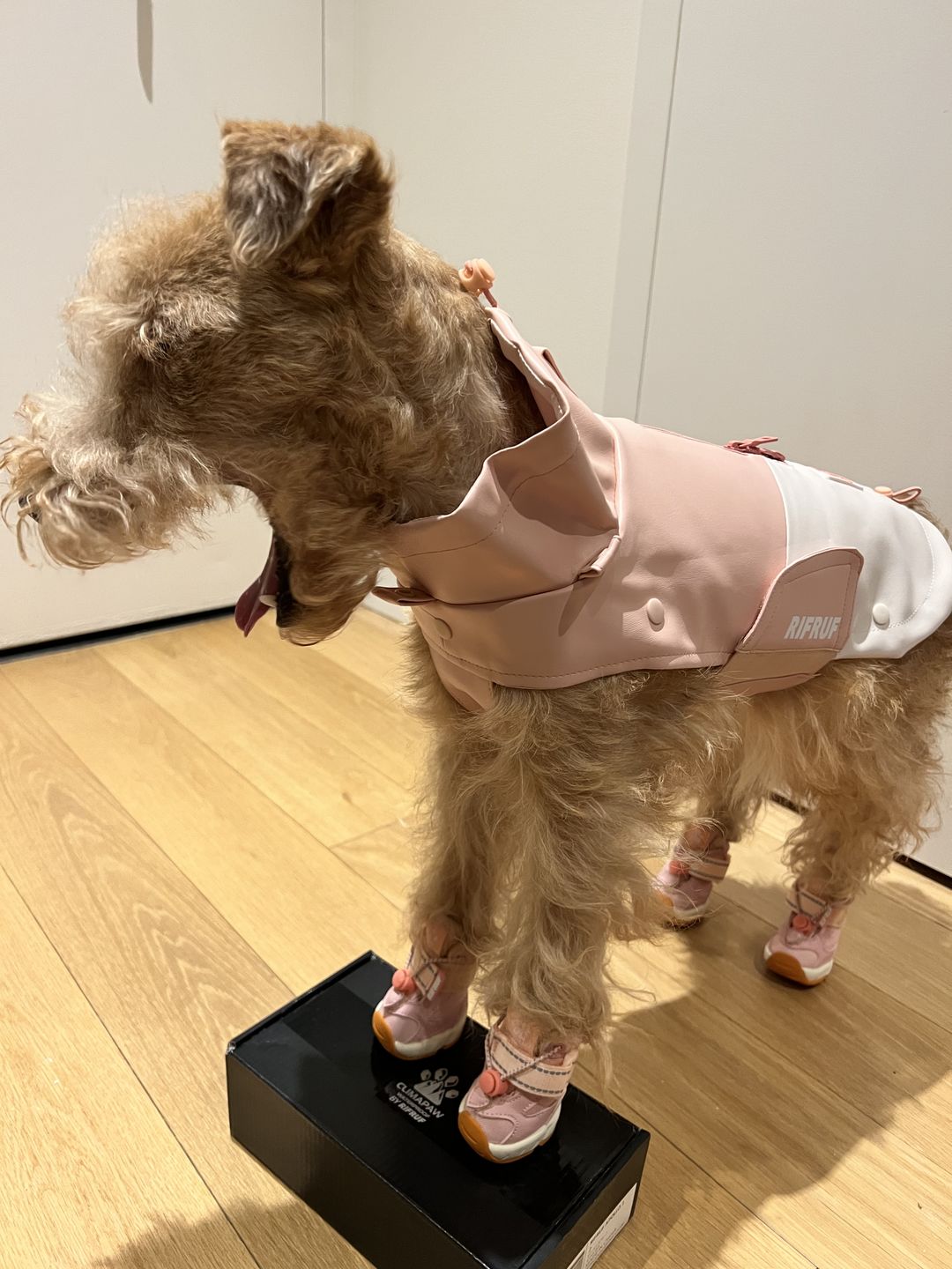 Customer photo review of Stormhunter Raincoat