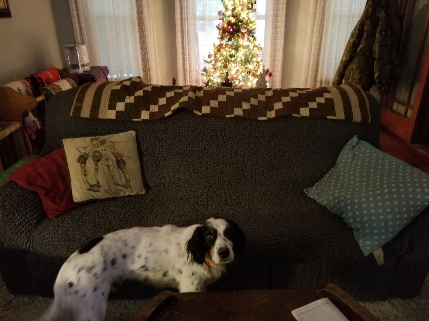 Customer photo review of 3 Seater Recliner Slipcover, Comfort Collection
