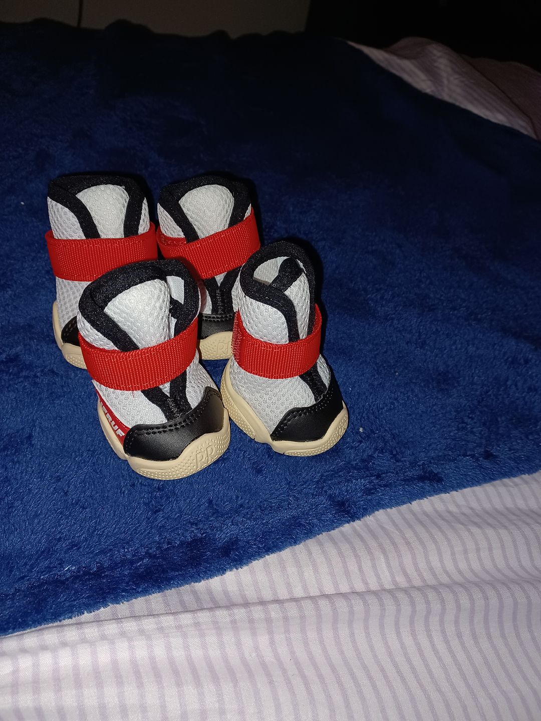 Customer photo review of Caesar 1S