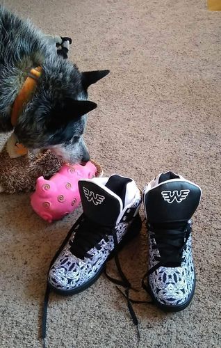 Customer photo review of Waylon Jennings x Patrick Ewing Basketball Sneaker