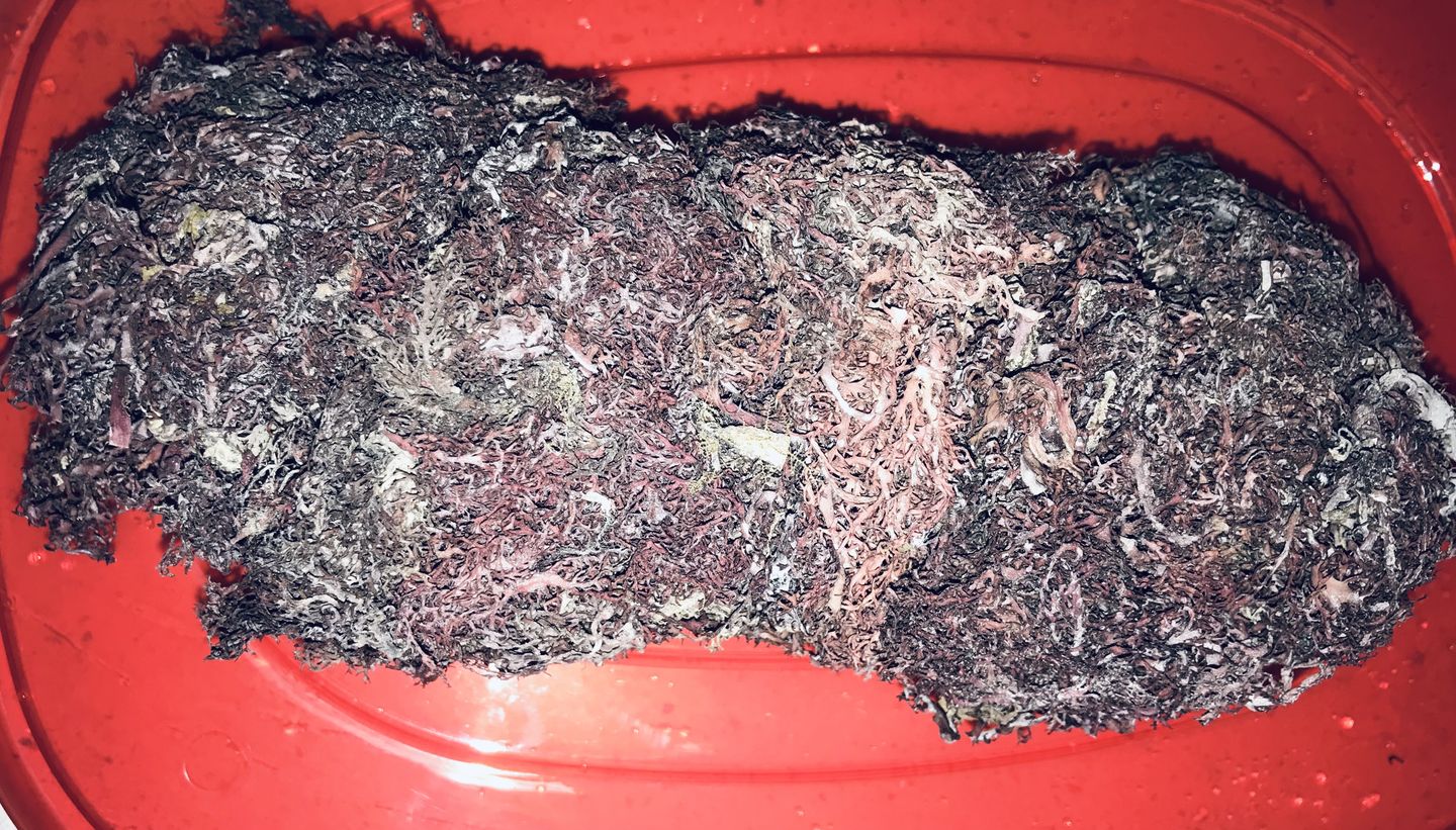 Customer photo review of Jamaican Purple Sea Moss
