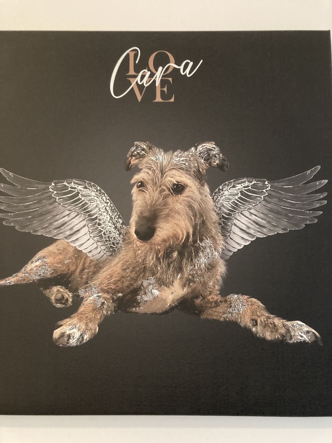 Customer photo review of Personalisiertes Portrait - Silberner Engel Stil