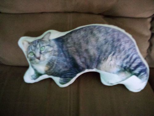 Customer photo review of Create A Custom Dog Pillow