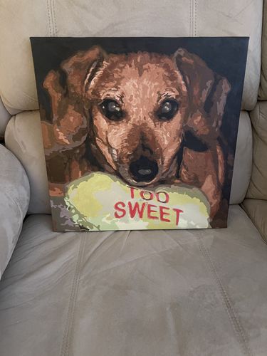 Customer photo review of Custom Pre-Framed Paint by Number Canvas