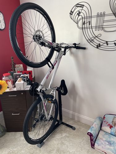 Customer photo review of DUO: Bike Nook Standard + Bike Nook Turbo